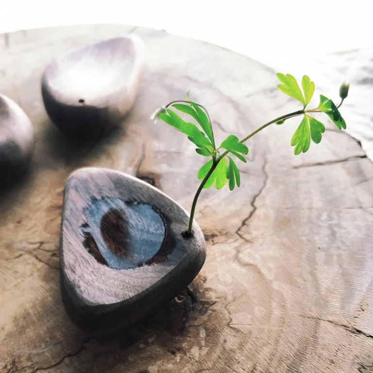 Disc-shaped wooden diffuser (1)