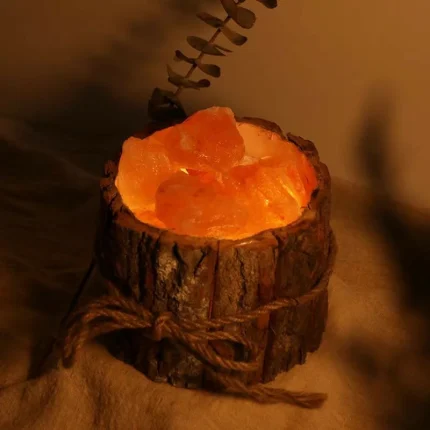 Himalayan Salt Lamp (3)